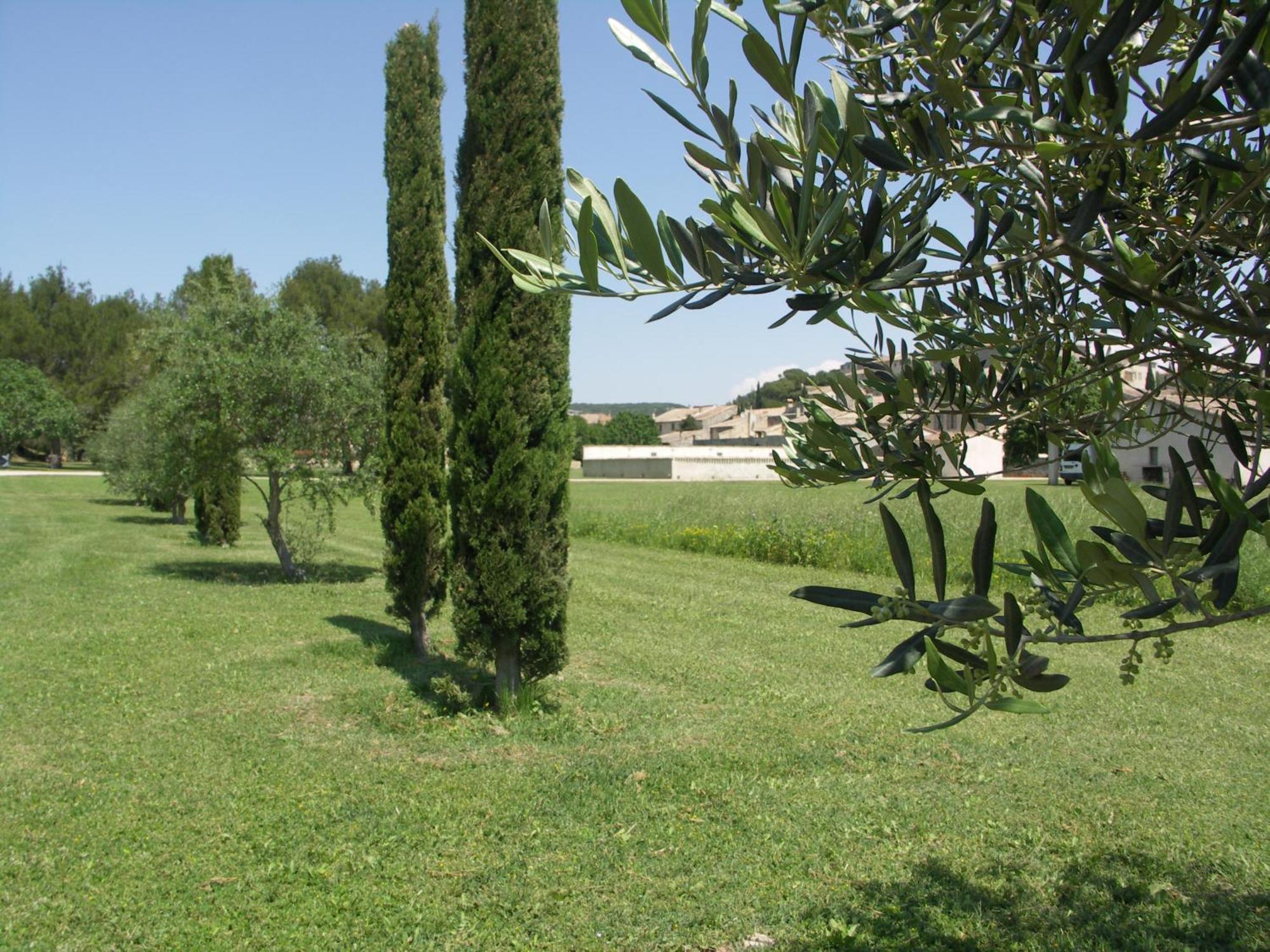 Domaine Saint Martin Hotell Valliguieres Eksteriør bilde